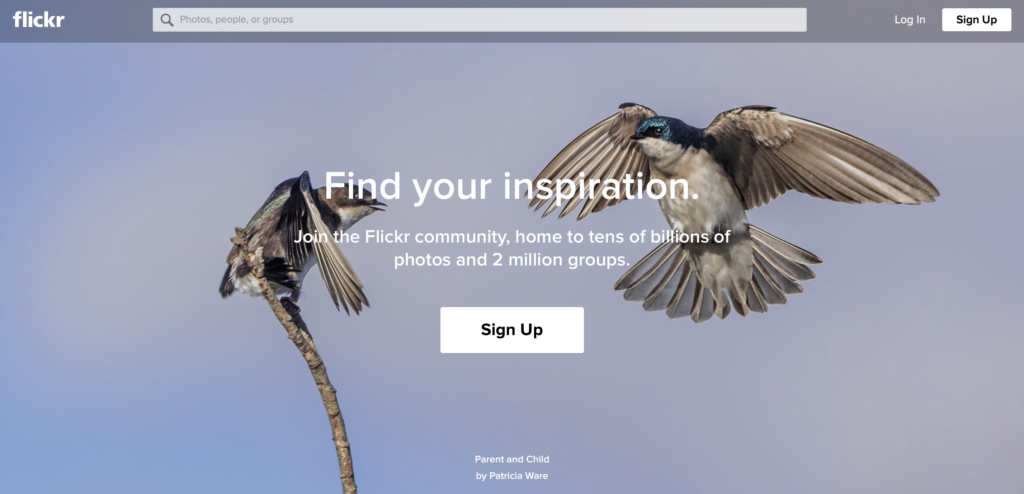 flickr image hosting