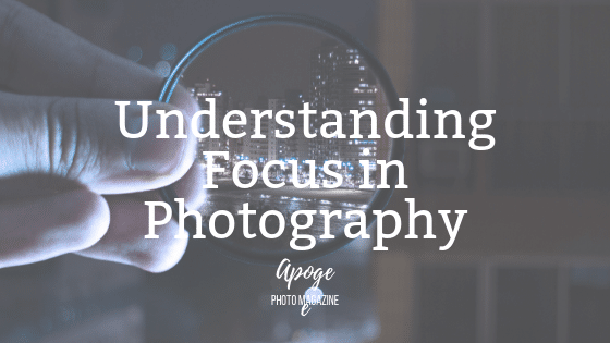 understanding focus in photography