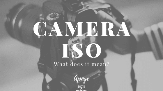 camera iso meaning